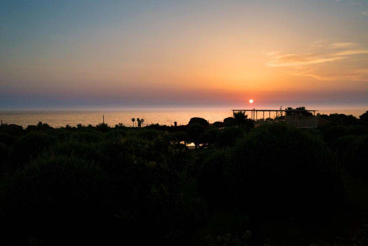 Agrikies Country Retreat Apartment Marathopoli Bagian luar foto