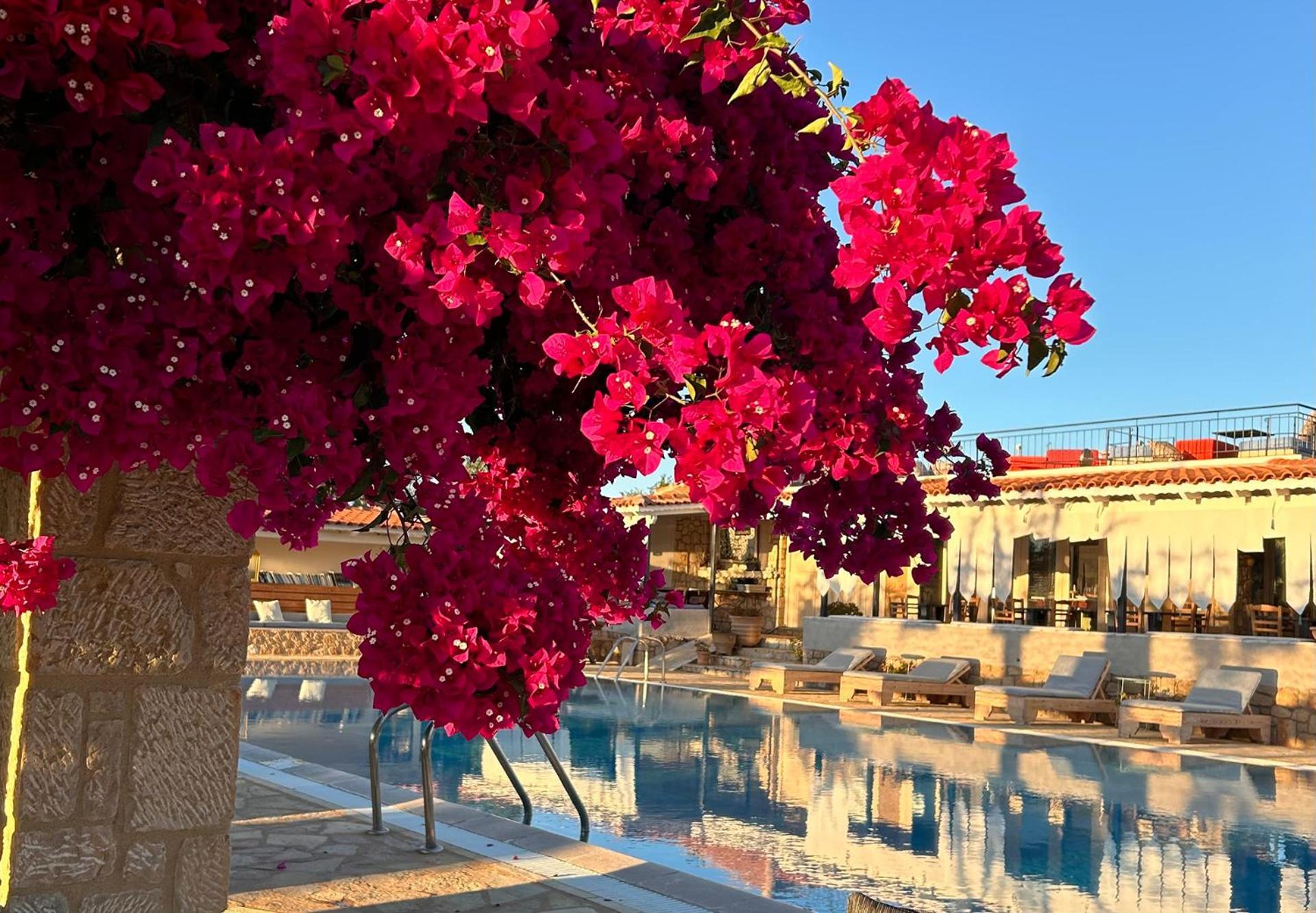 Agrikies Country Retreat Apartment Marathopoli Bagian luar foto